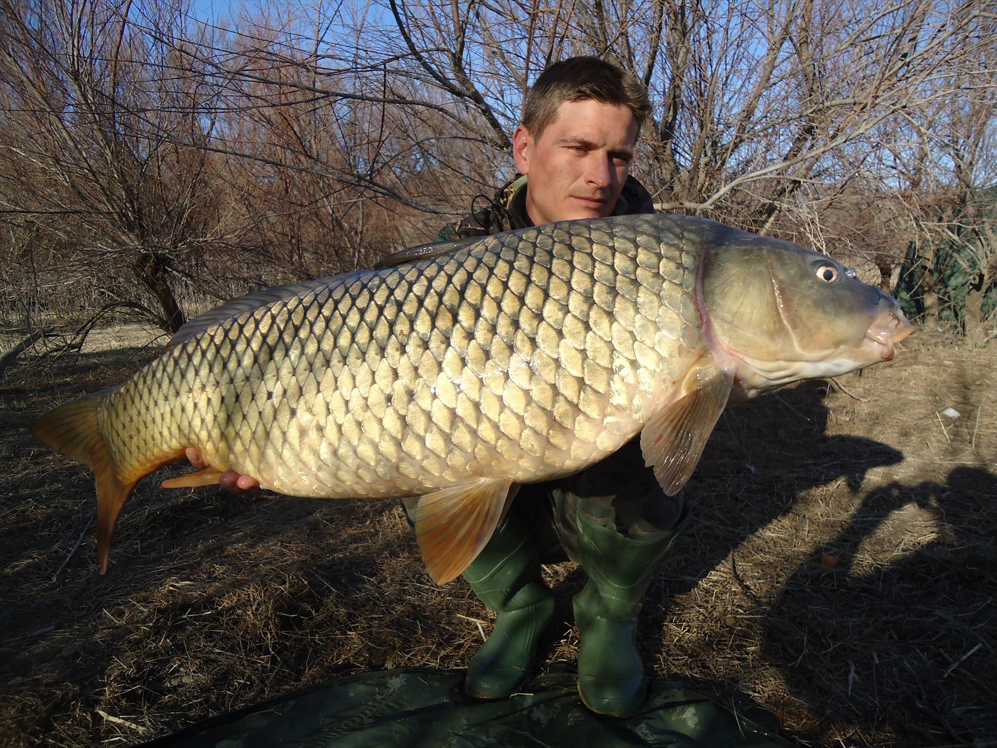 CARP FISHING...... - dsc05232.JPG